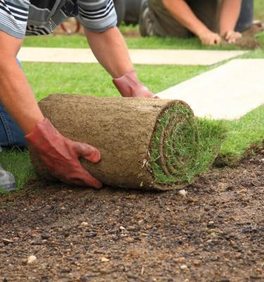 Turfing a deals lawn